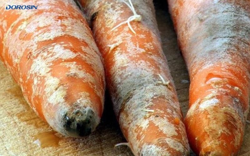 Ảnh đồ ăn bị mốc