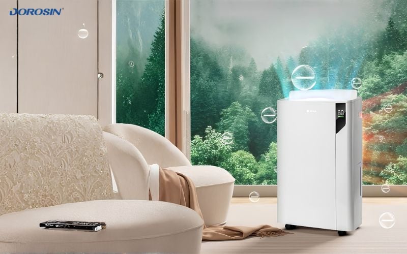 có nên mua máy hút ẩm lọc không khí 2