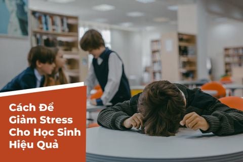 5 Cách Để Giảm Stress Cho Học Sinh Hiệu Quả