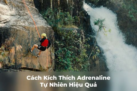 Adrenaline Là Gì? Cách Kích Thích Adrenaline Tự Nhiên Hiệu Quả