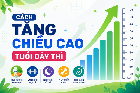 8 Cách Tăng Chiều Cao Ở Tuổi Dậy Thì Khoa Học, Hiệu Quả Cao
