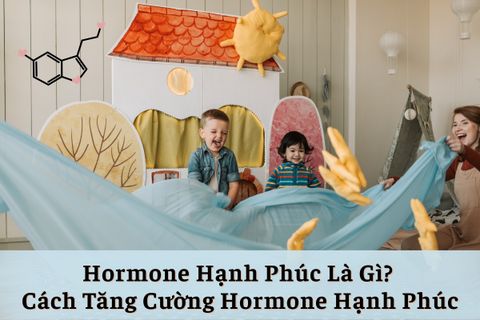 Hormone Hạnh Phúc Là Gì? Cách Tăng Cường 4 Loại Hormone Hạnh Phúc