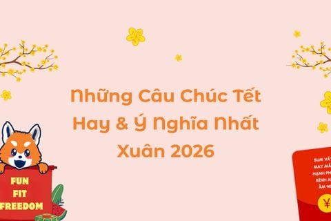 Tổng Hợp Những Câu Chúc Tết Hay & Ý Nghĩa Nhất Xuân Bính Ngọ 2026