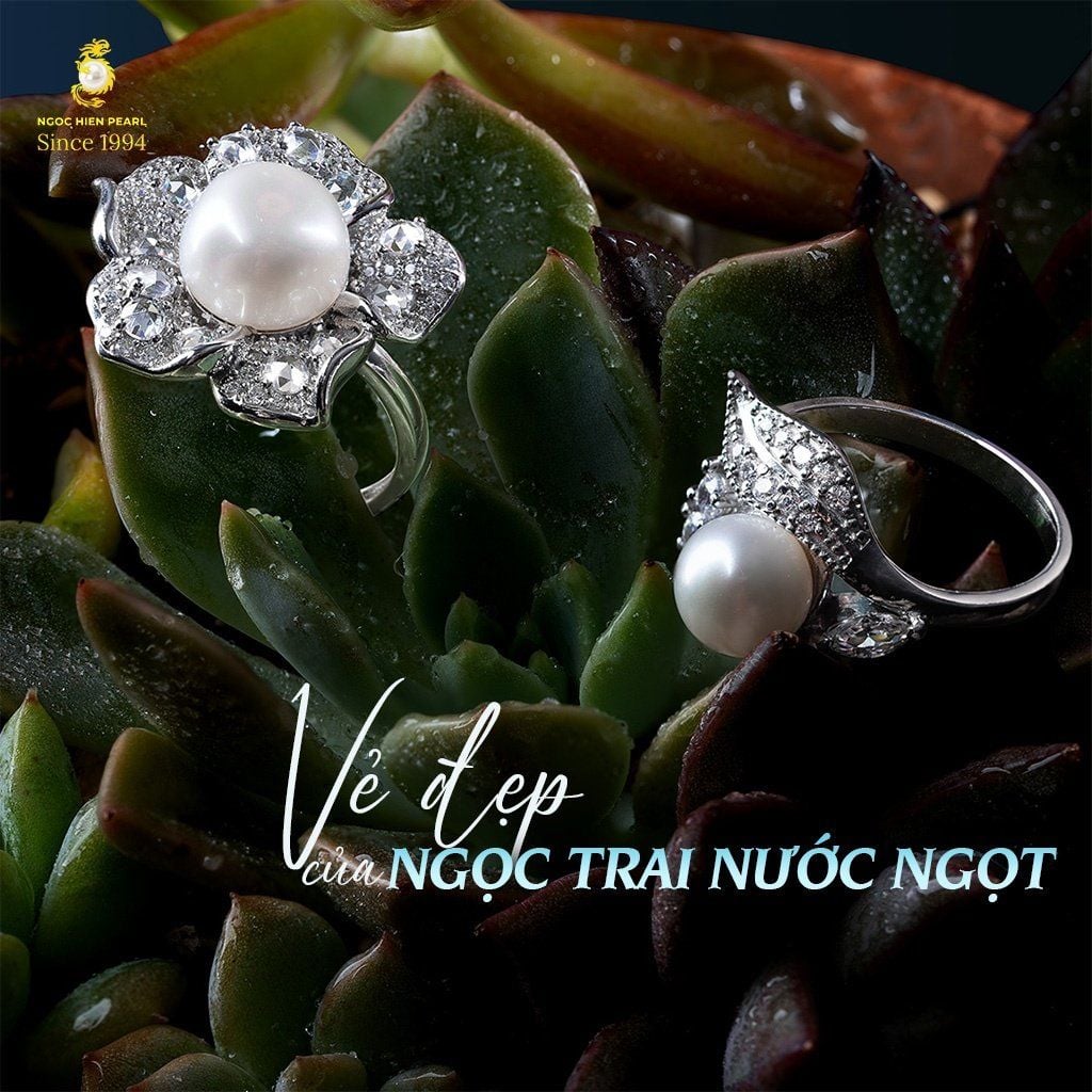 Vẻ Đẹp Của Ngọc Trai Nước Ngọt Tại Ngoc Hien Pearl