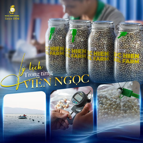 Ngọc trai thật – Cách nhận biết, giá trị và lựa chọn trang sức đúng chuẩn