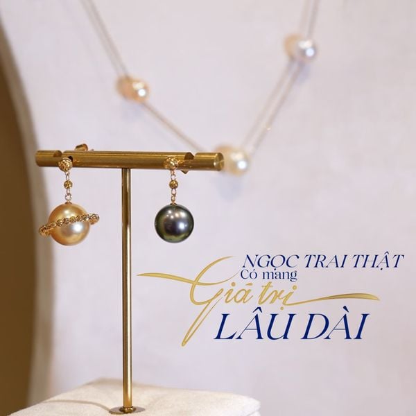 Ngọc trai thật có mang giá trị lâu dài? Vì sao ngày càng nhiều người lựa chọn để lưu giữ giá trị