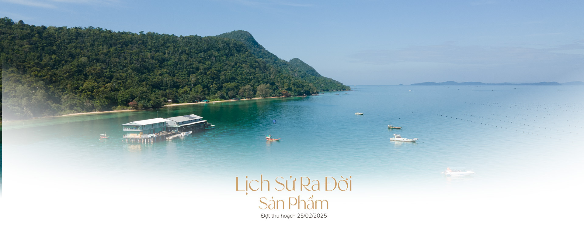 Ngọc trai Ngọc Hiền