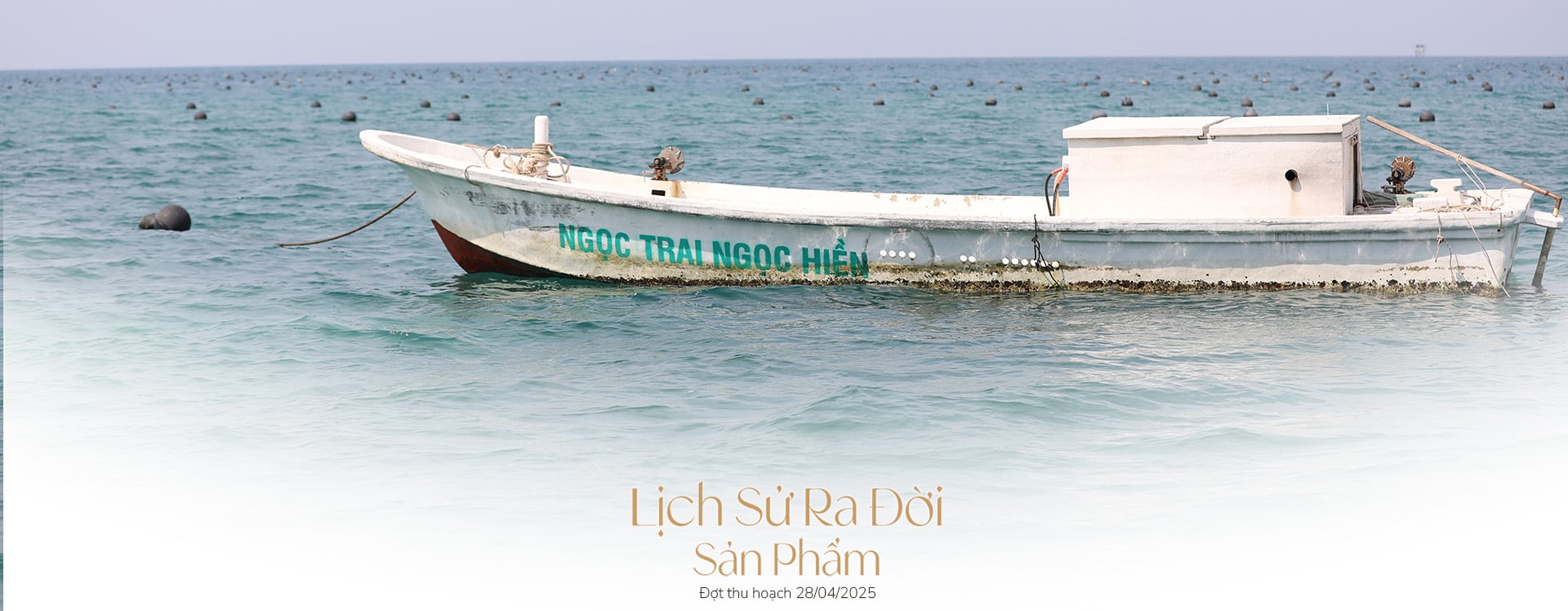 Ngọc trai Ngọc Hiền