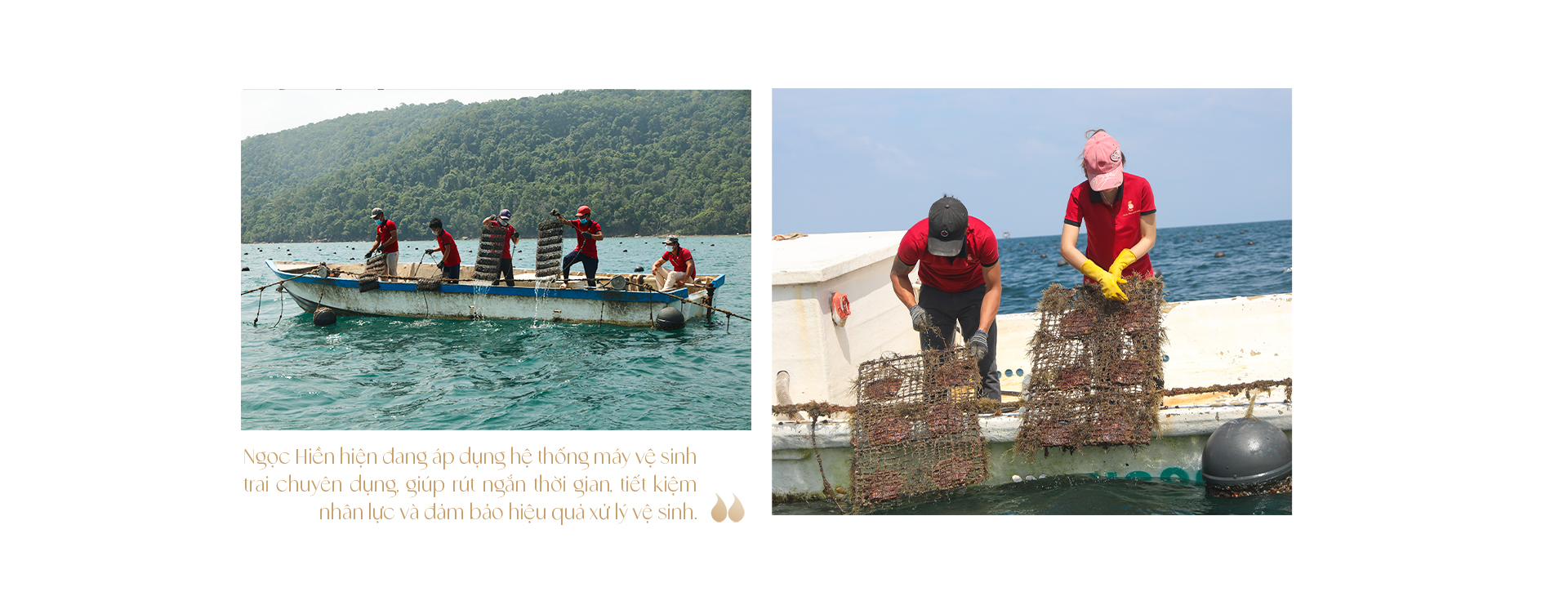 Ngọc trai Ngọc Hiền