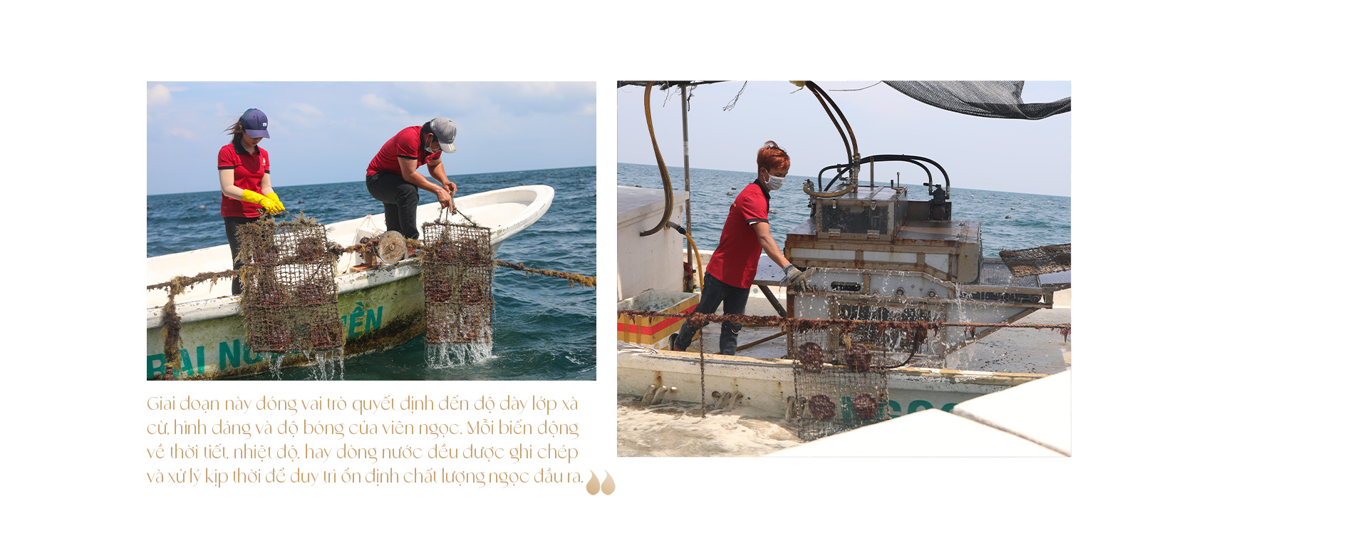 Ngọc trai Ngọc Hiền