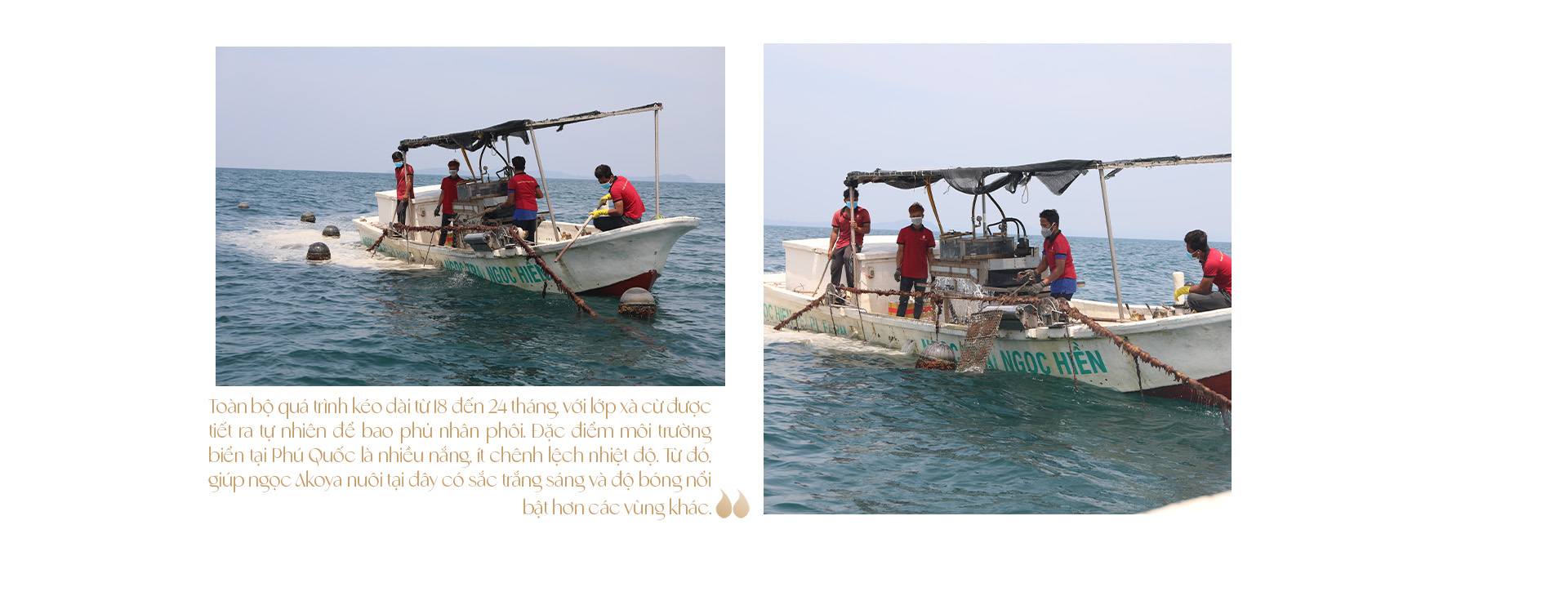 Ngọc trai Ngọc Hiền