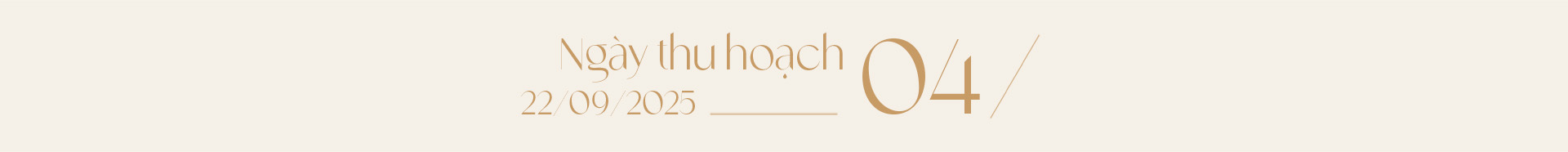 Ngọc trai Ngọc Hiền