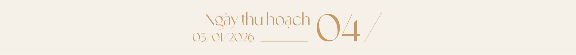 Ngọc trai Ngọc Hiền