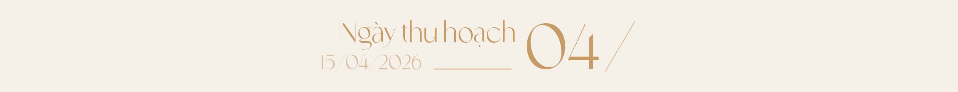 Ngọc trai Ngọc Hiền