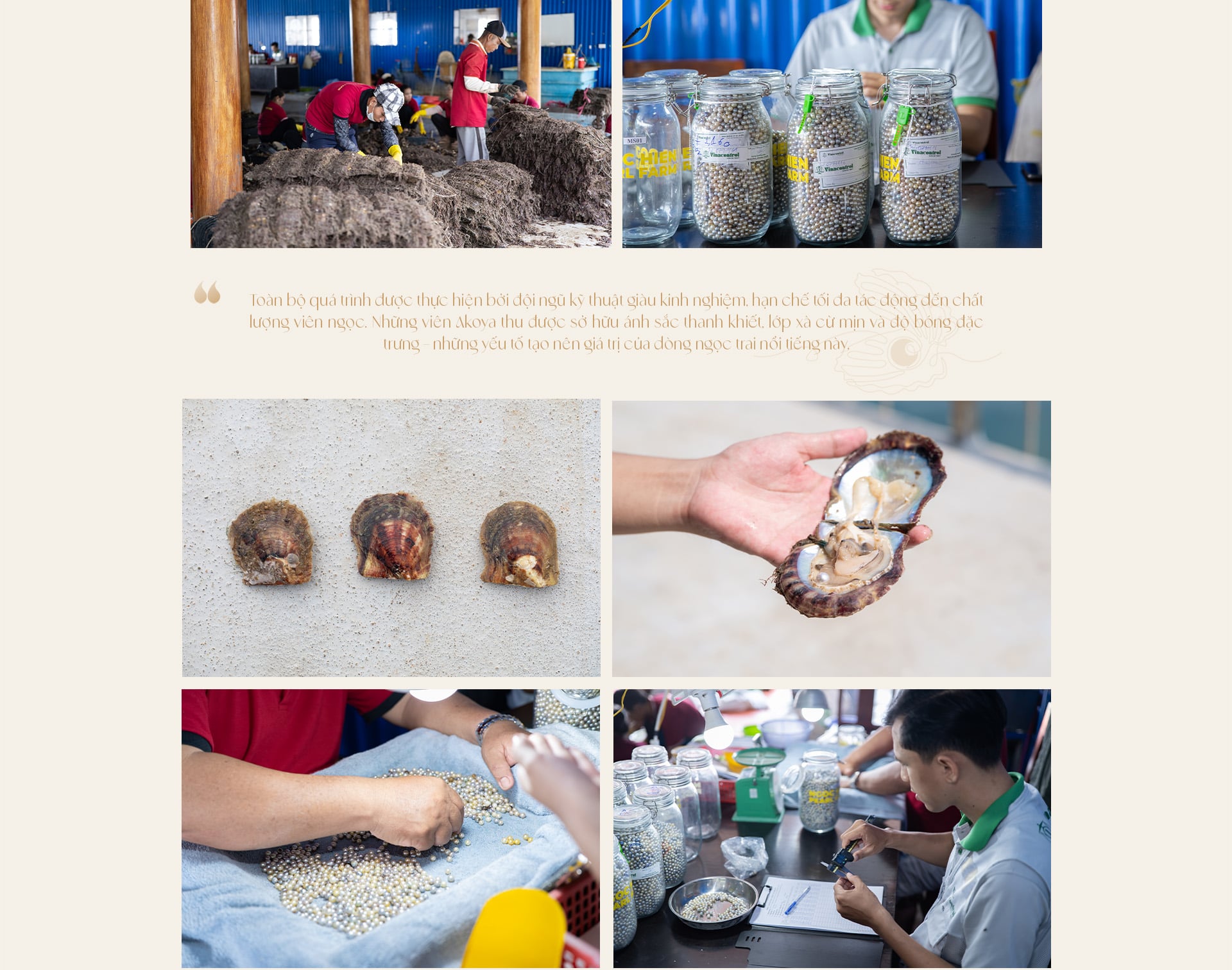 Ngọc trai Ngọc Hiền