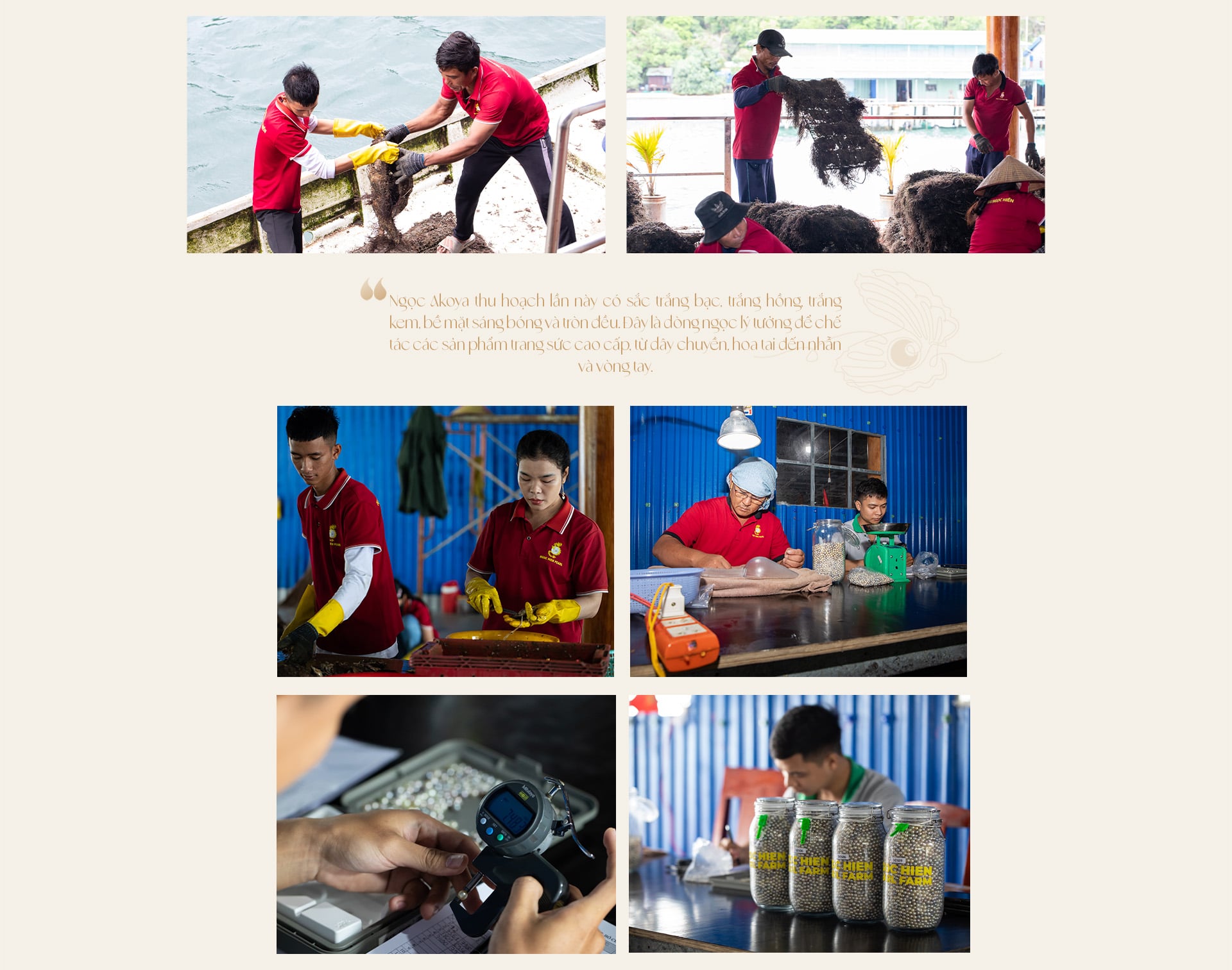 Ngọc trai Ngọc Hiền