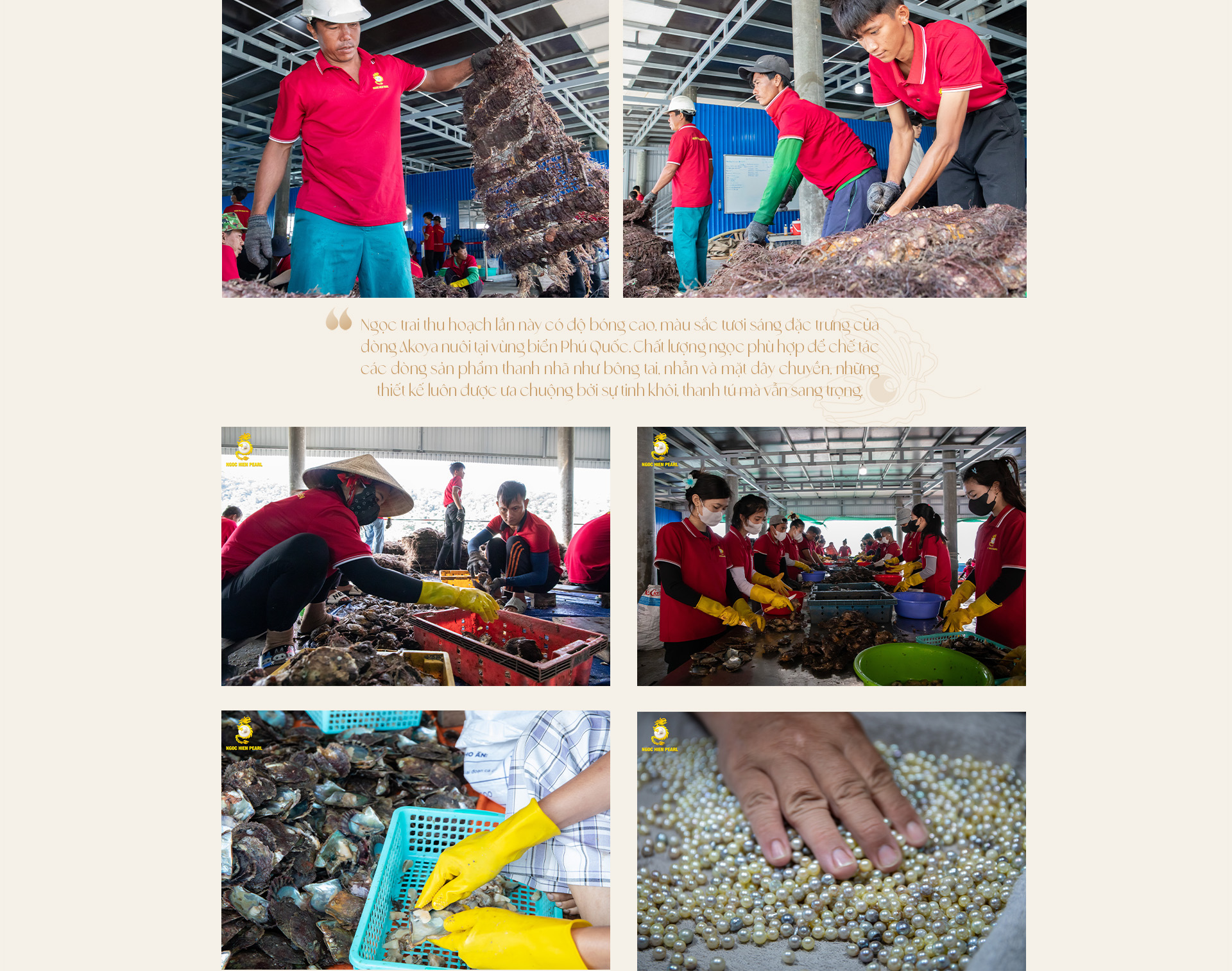 Ngọc trai Ngọc Hiền