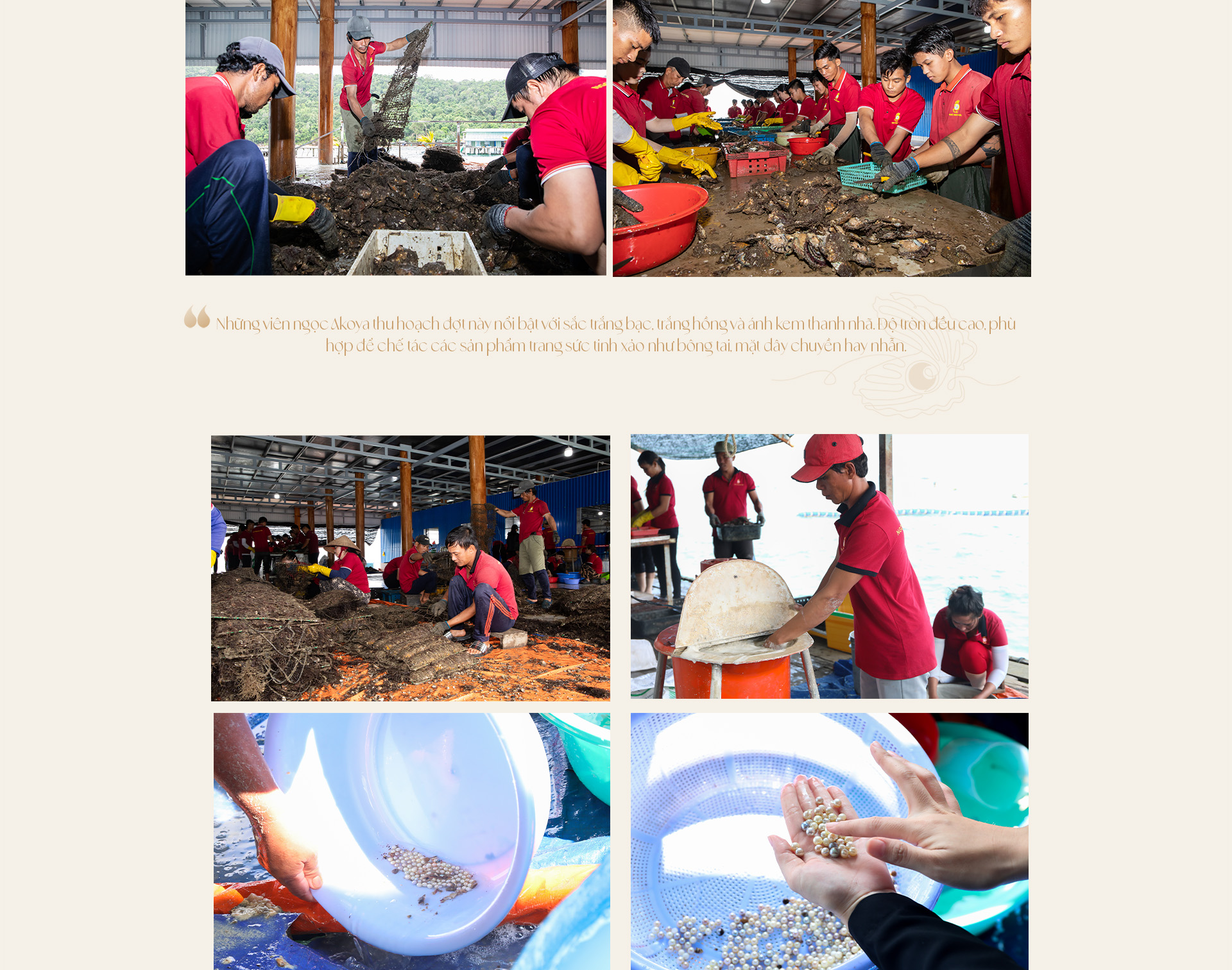 Ngọc trai Ngọc Hiền