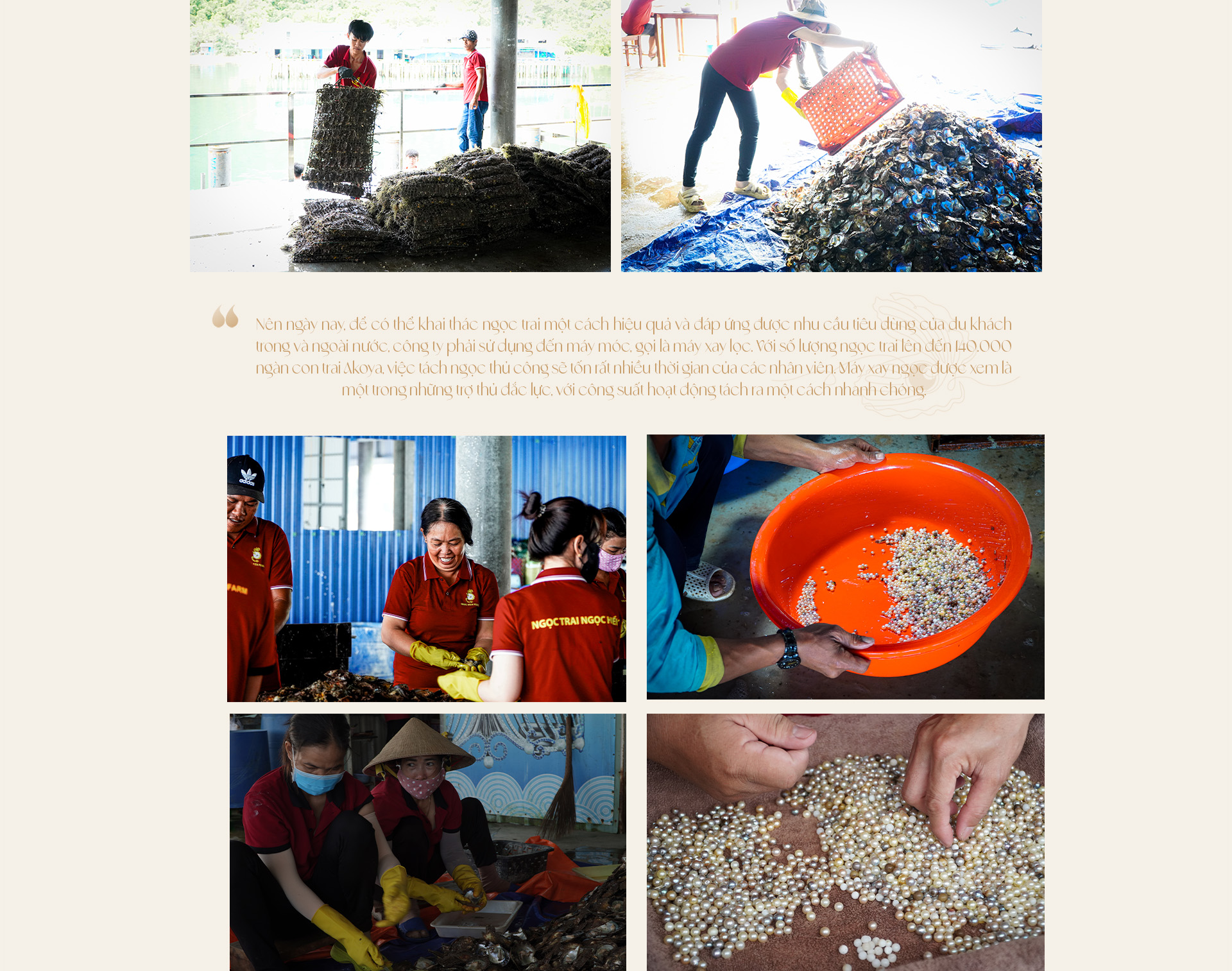 Ngọc trai Ngọc Hiền