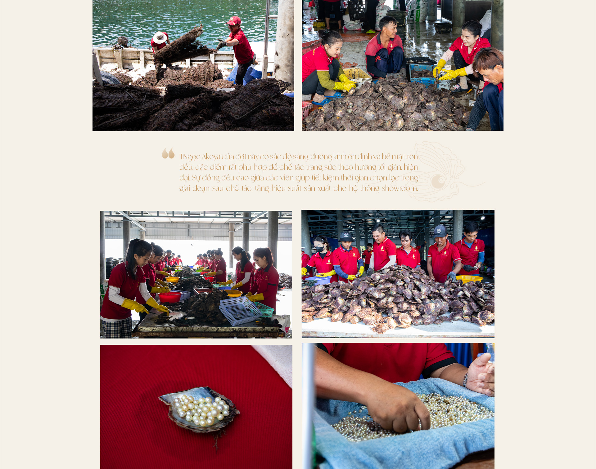 Ngọc trai Ngọc Hiền