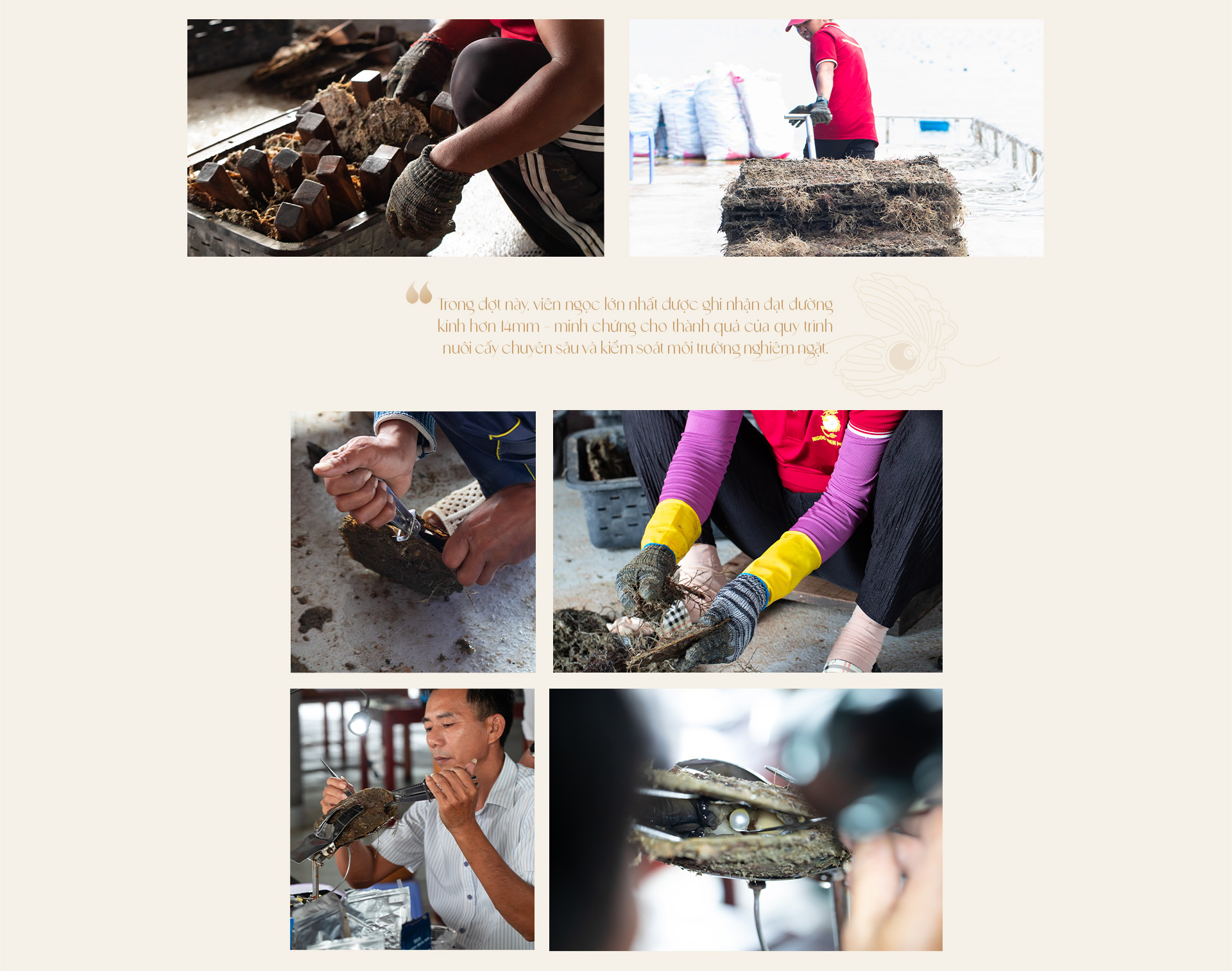 Ngọc trai Ngọc Hiền