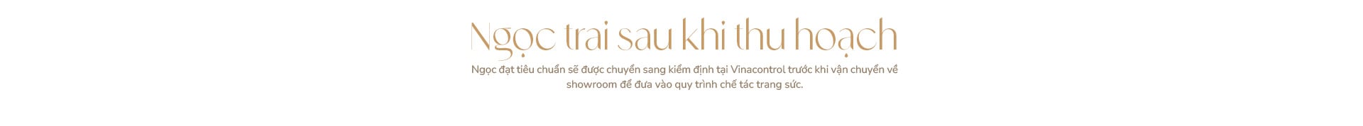 Ngọc trai Ngọc Hiền