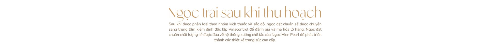 Ngọc trai Ngọc Hiền