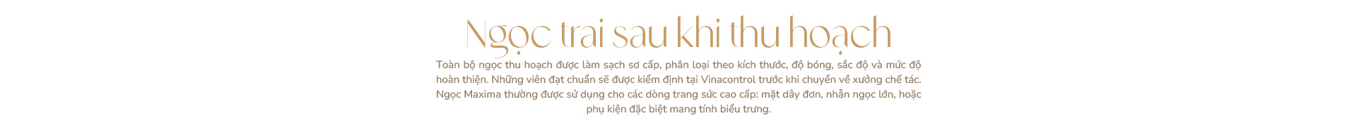 Ngọc trai Ngọc Hiền