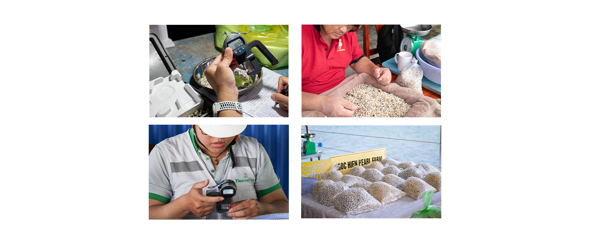 Ngọc trai Ngọc Hiền