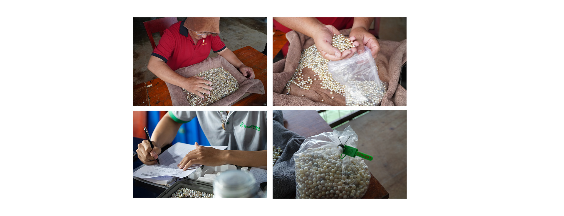 Ngọc trai Ngọc Hiền