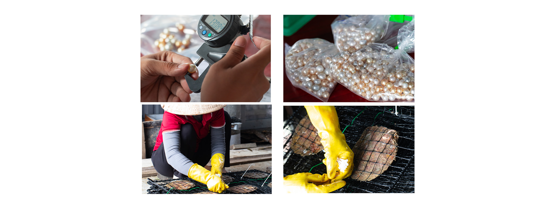 Ngọc trai Ngọc Hiền