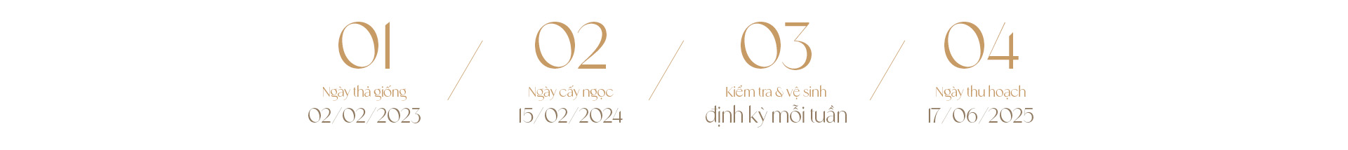 Ngọc trai Ngọc Hiền