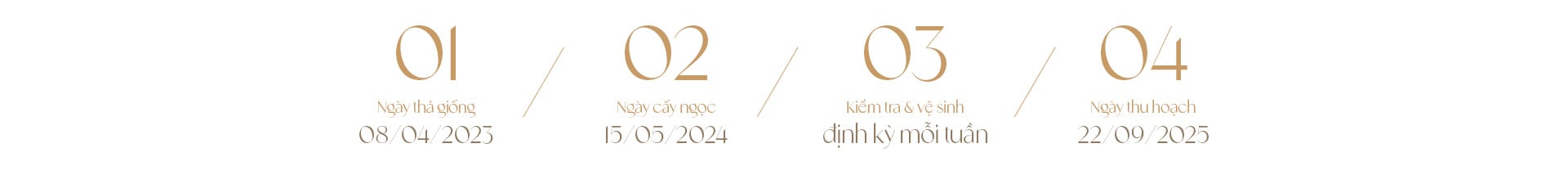 Ngọc trai Ngọc Hiền