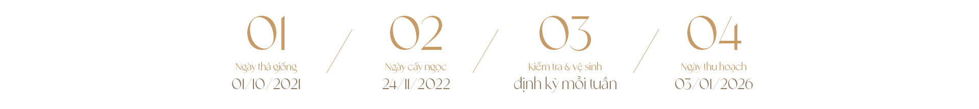 Ngọc trai Ngọc Hiền