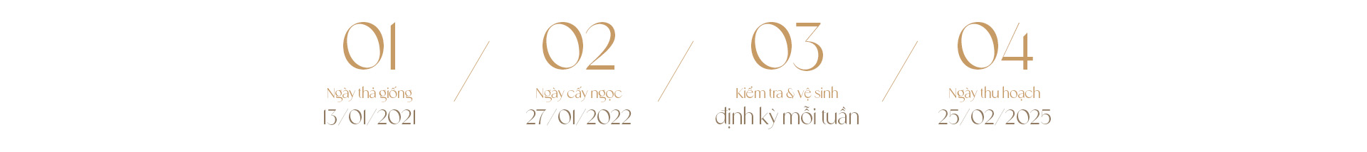 Ngọc trai Ngọc Hiền