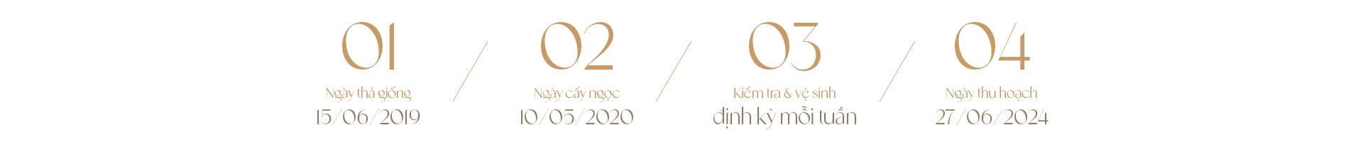 Ngọc trai Ngọc Hiền