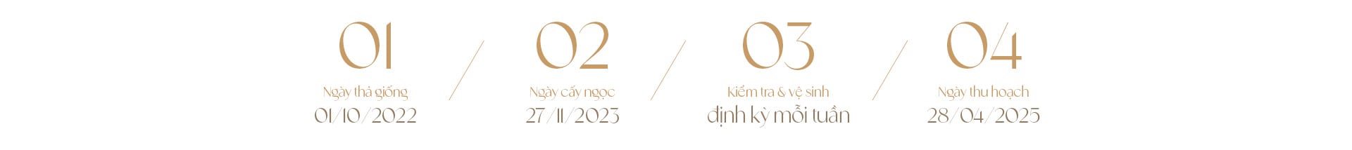 Ngọc trai Ngọc Hiền