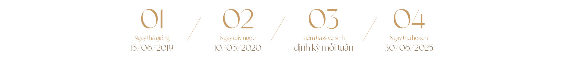 Ngọc trai Ngọc Hiền