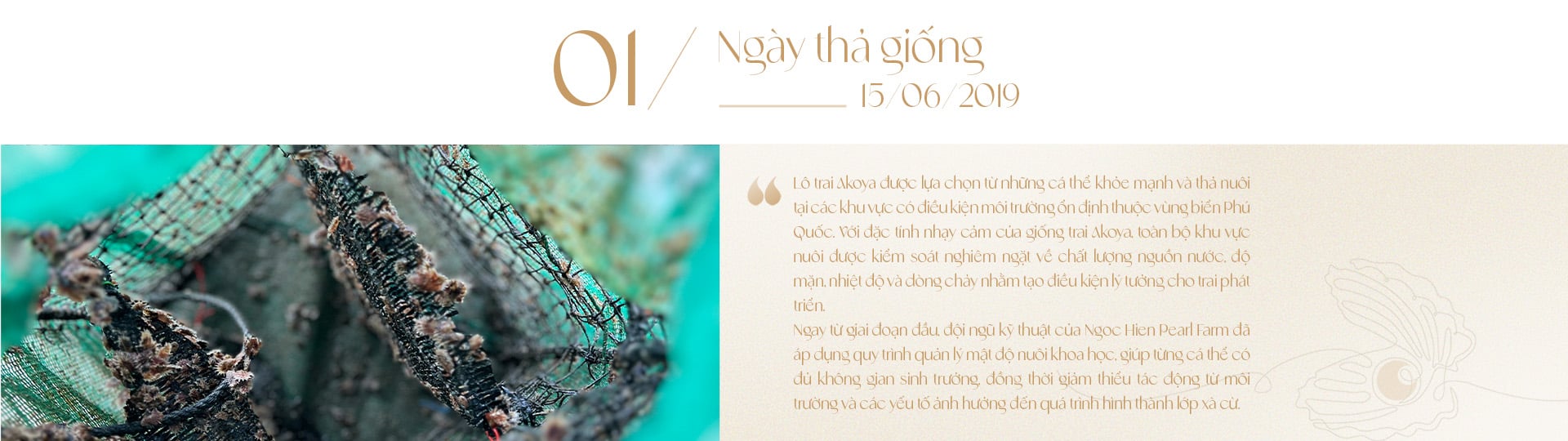 Ngọc trai Ngọc Hiền