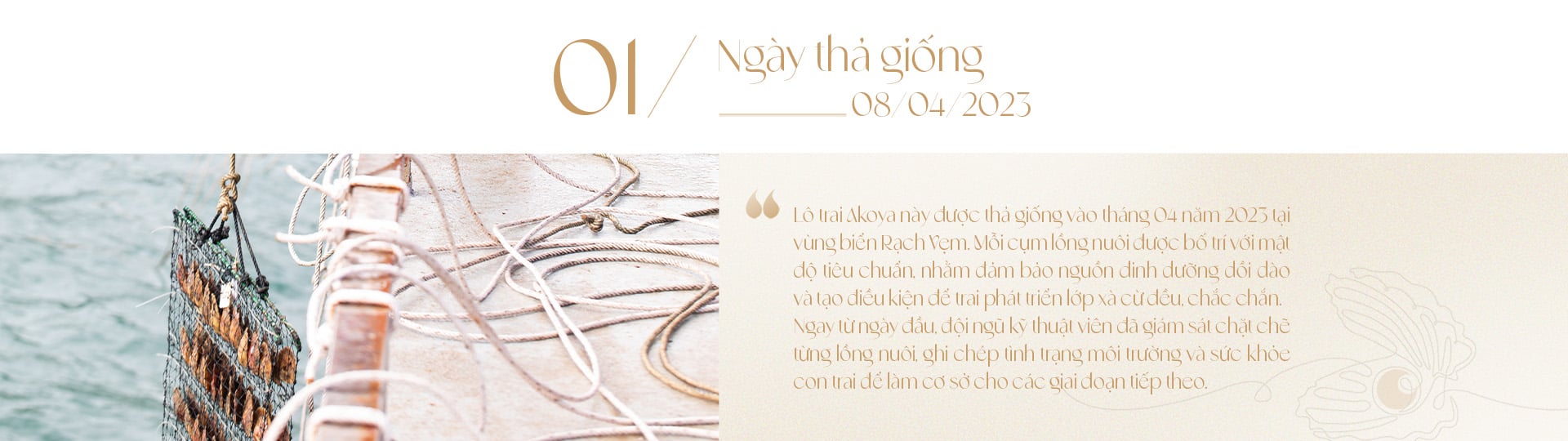 Ngọc trai Ngọc Hiền