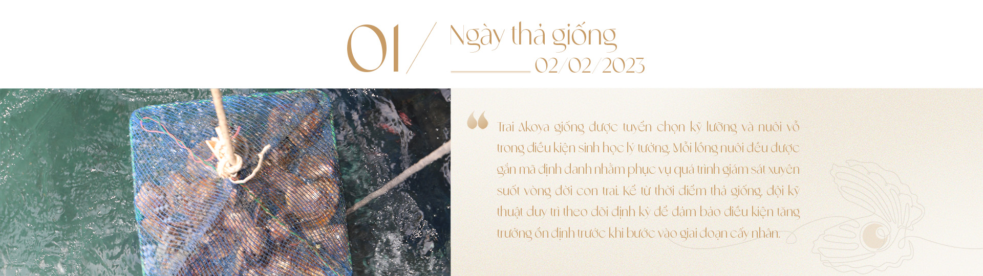 Ngọc trai Ngọc Hiền