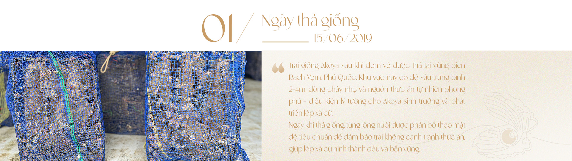 Ngọc trai Ngọc Hiền