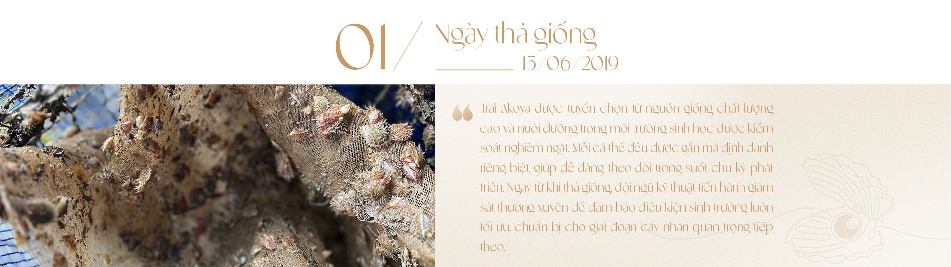 Ngọc trai Ngọc Hiền