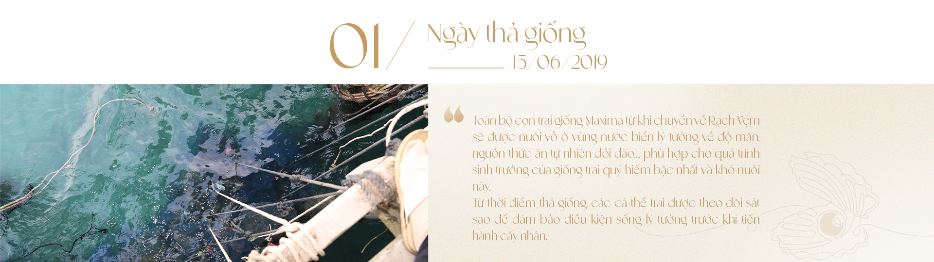 Ngọc trai Ngọc Hiền