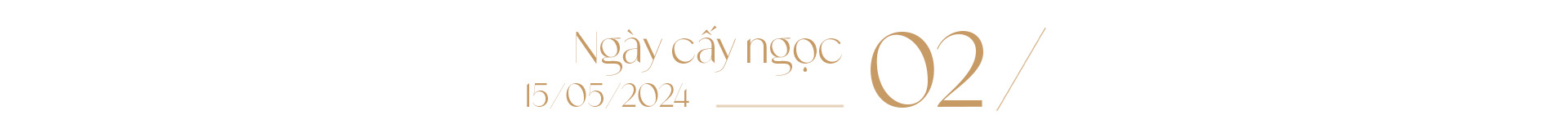 Ngọc trai Ngọc Hiền