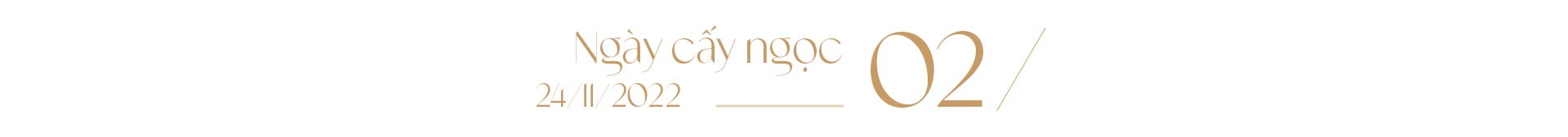 Ngọc trai Ngọc Hiền