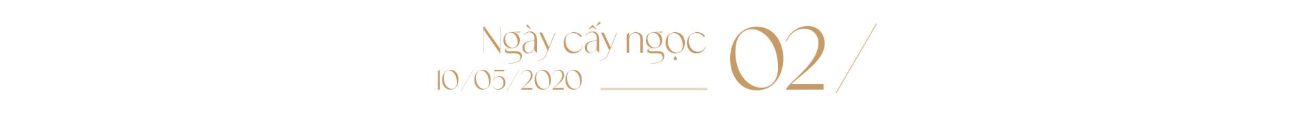 Ngọc trai Ngọc Hiền