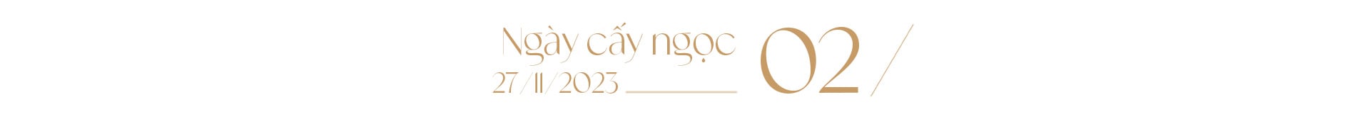 Ngọc trai Ngọc Hiền