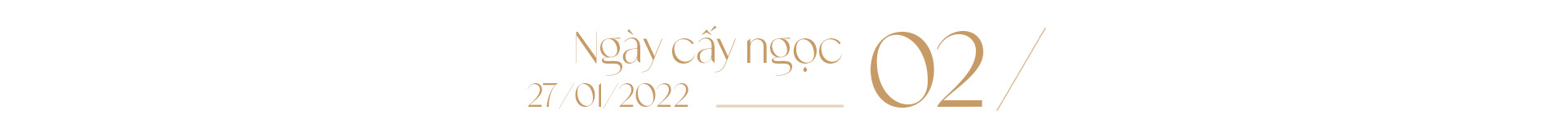 Ngọc trai Ngọc Hiền