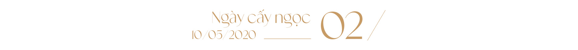 Ngọc trai Ngọc Hiền